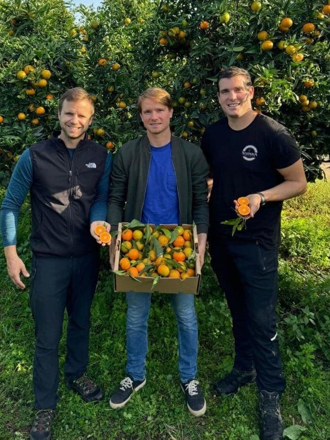 Philippe, Anthony et Loïc de la Taste dans le verger de clémentines