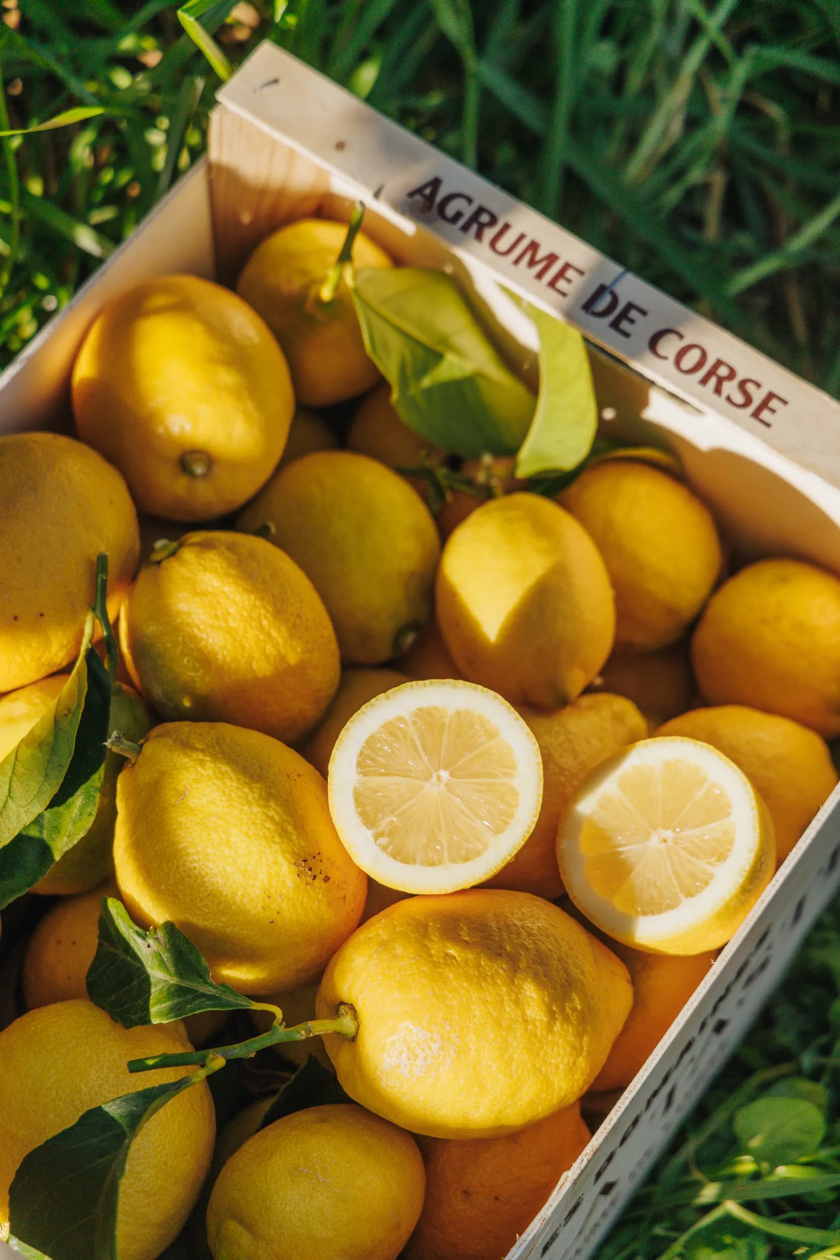 Cagette de citrons bio de Corse